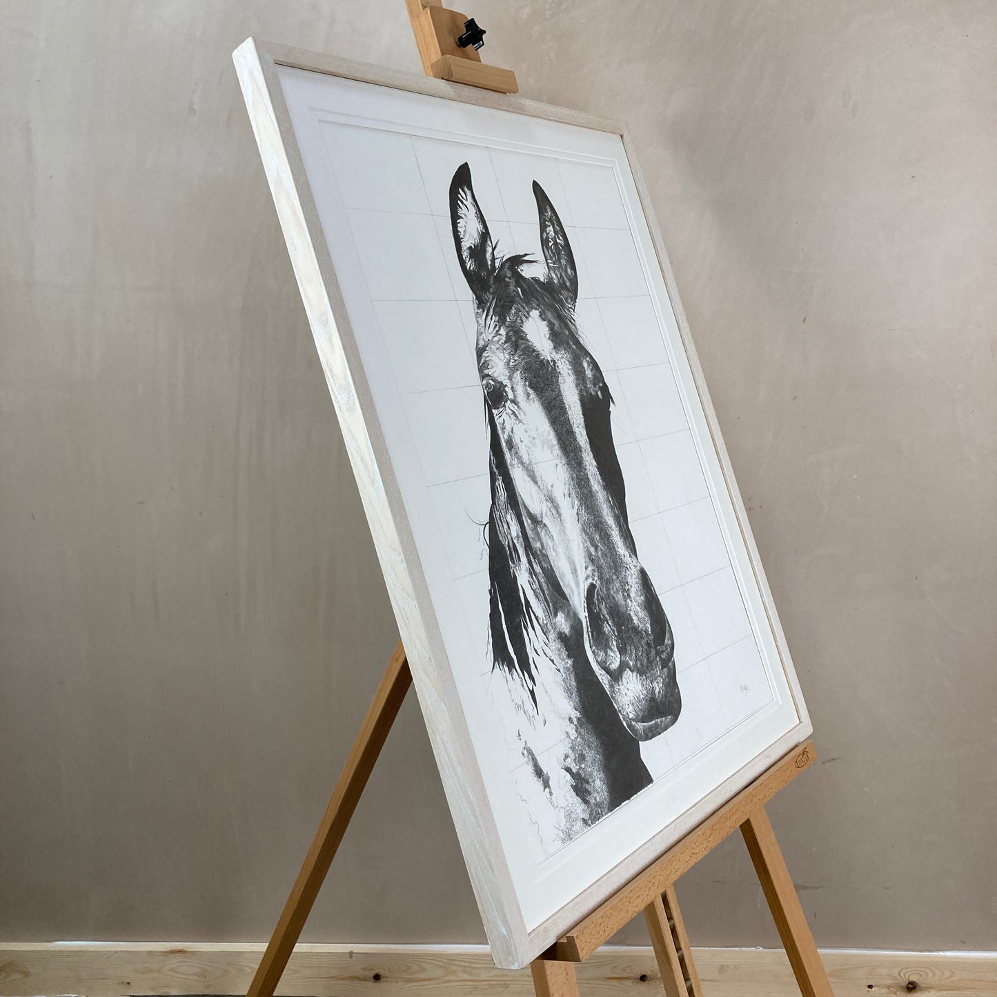 Calypso Original Conservation Framed Drawing