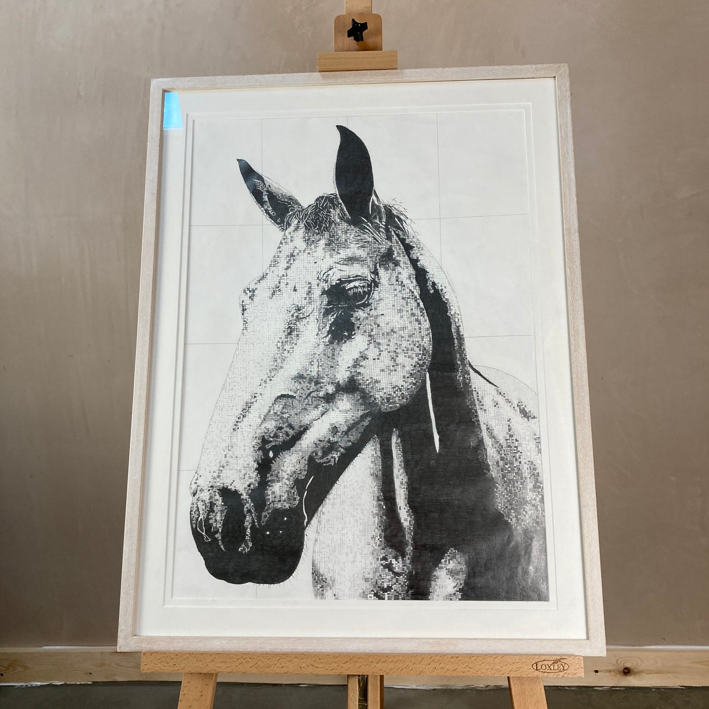 Cally Original Conservation Framed Drawing