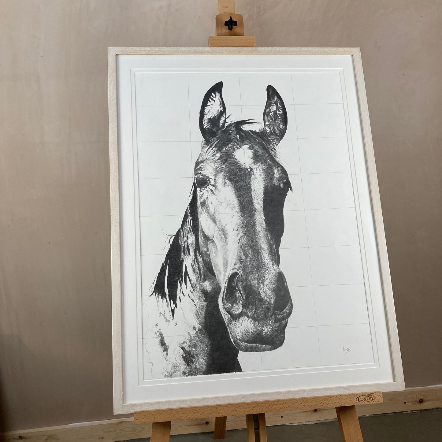 Calypso Original Conservation Framed Drawing