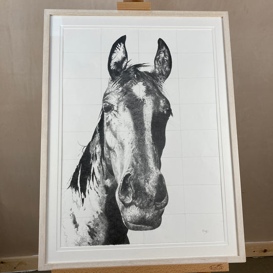 Calypso Original Conservation Framed Drawing