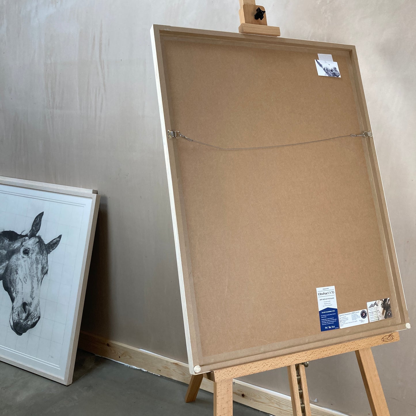 Calypso Original Conservation Framed Drawing