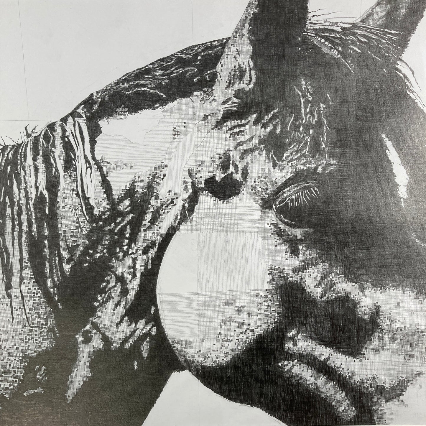 William Original Conservation Framed Drawing