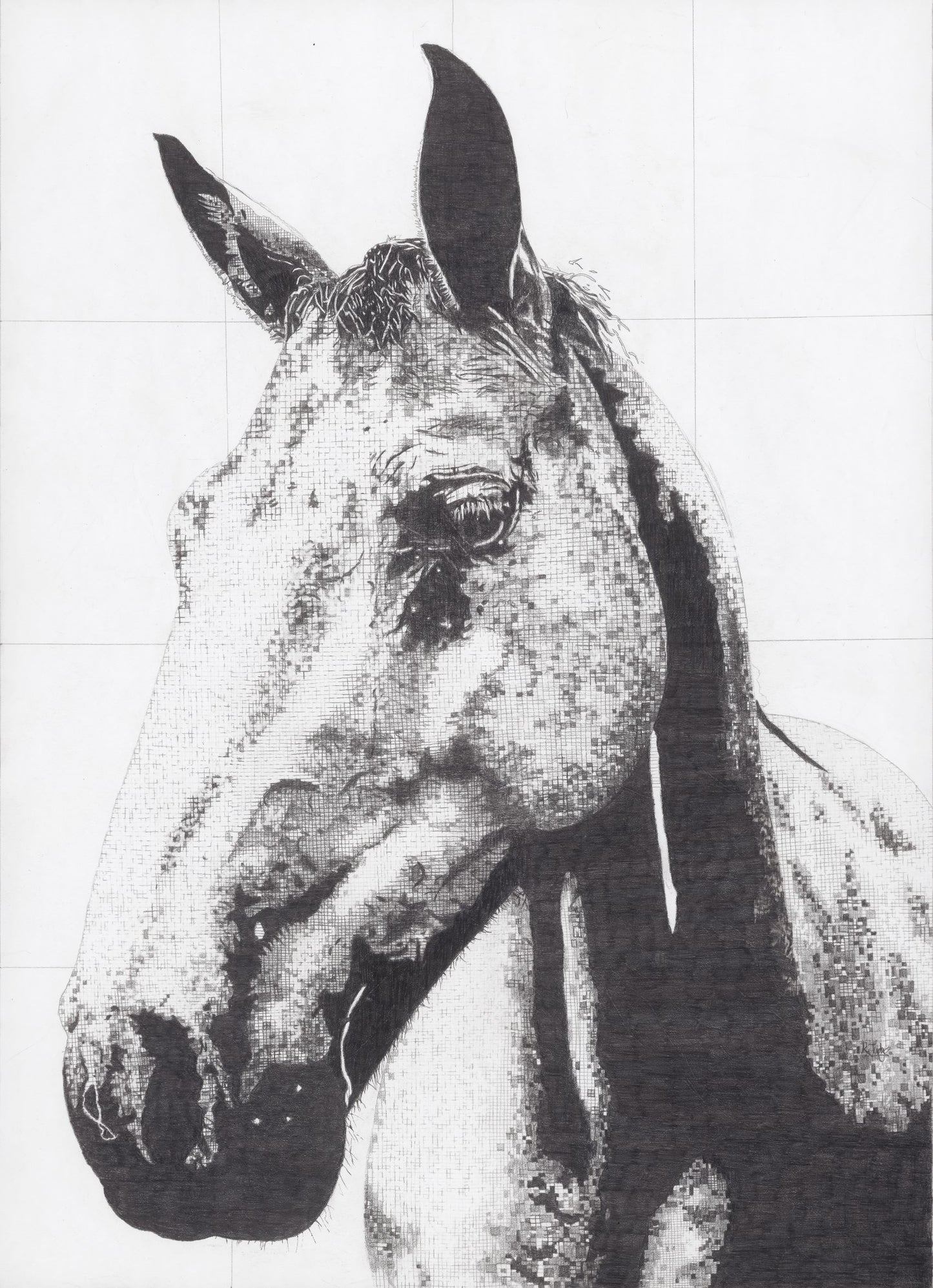 Cally Original Conservation Framed Drawing