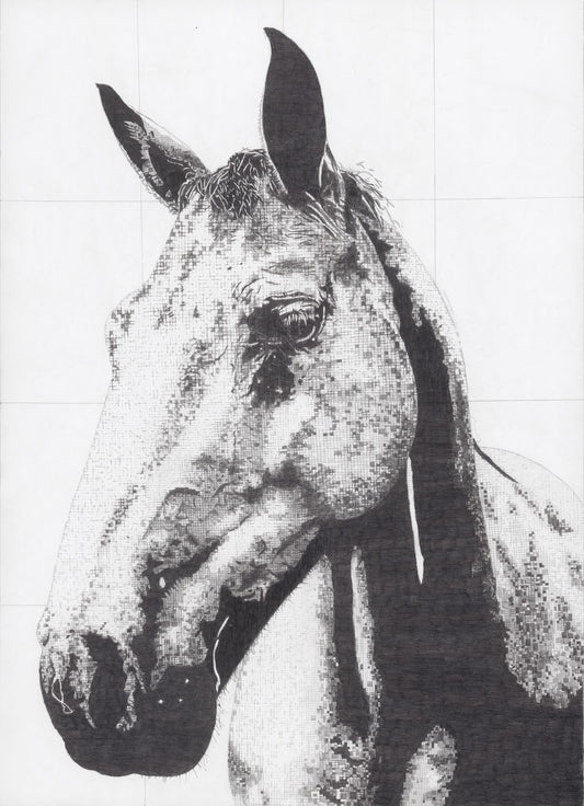 Cally Original Conservation Framed Drawing