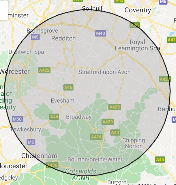 'Late Light on Cow Parsley' 40cm x 40cm Gouache & Ink on Board