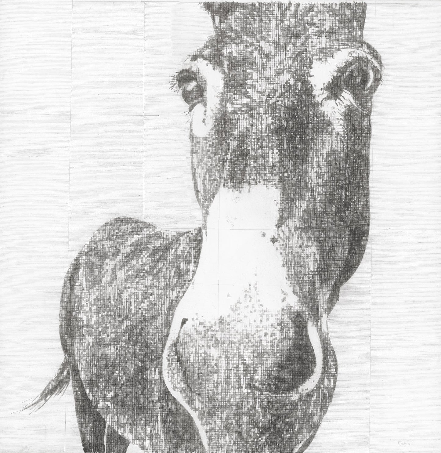 Elizabeth Original Conservation Framed Drawing