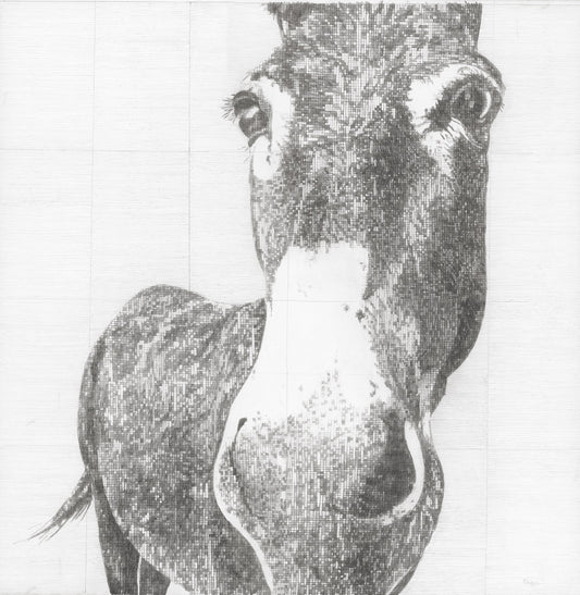 Elizabeth Original Conservation Framed Drawing