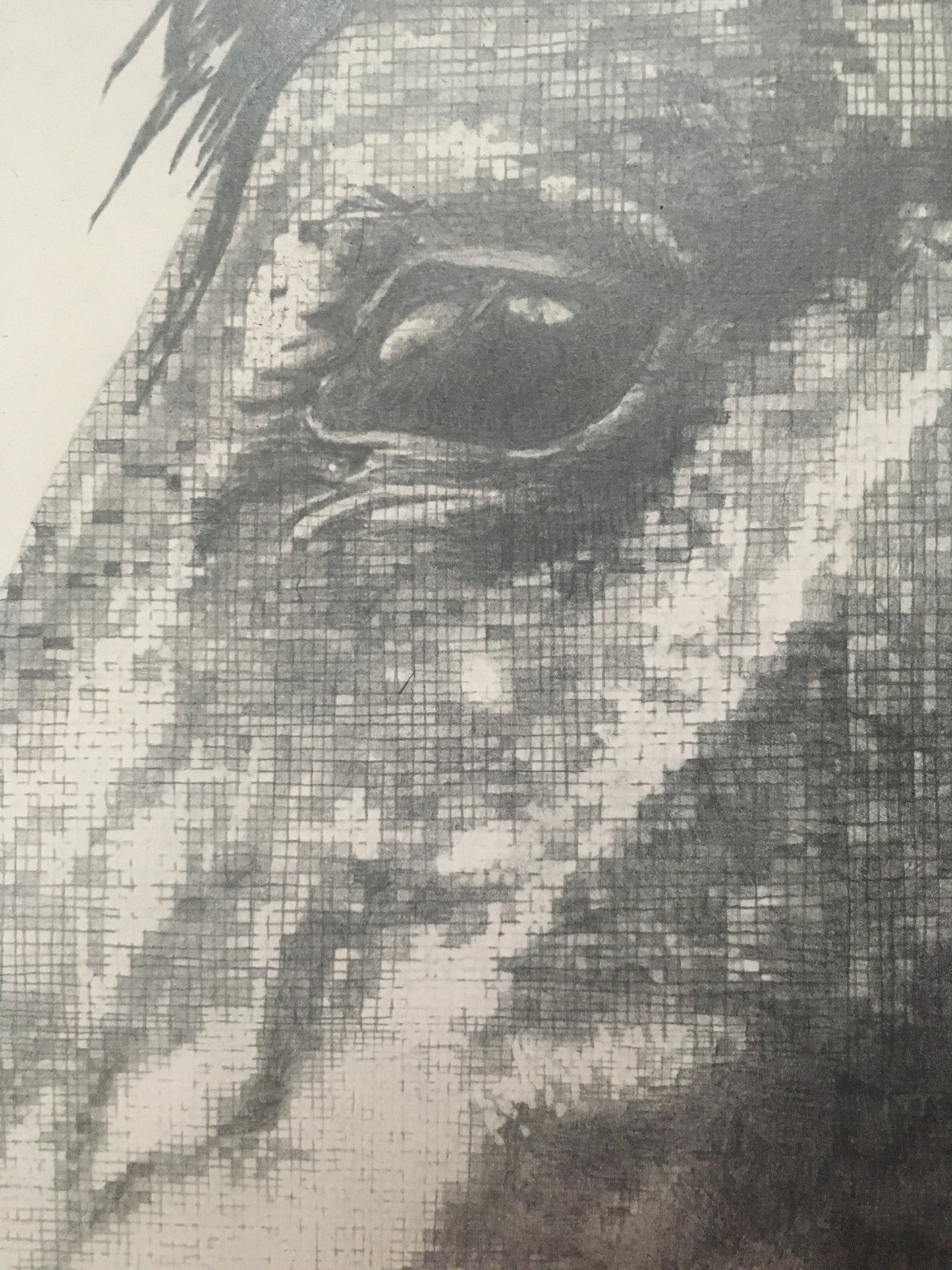 Sebastian Original Conservation Framed Drawing