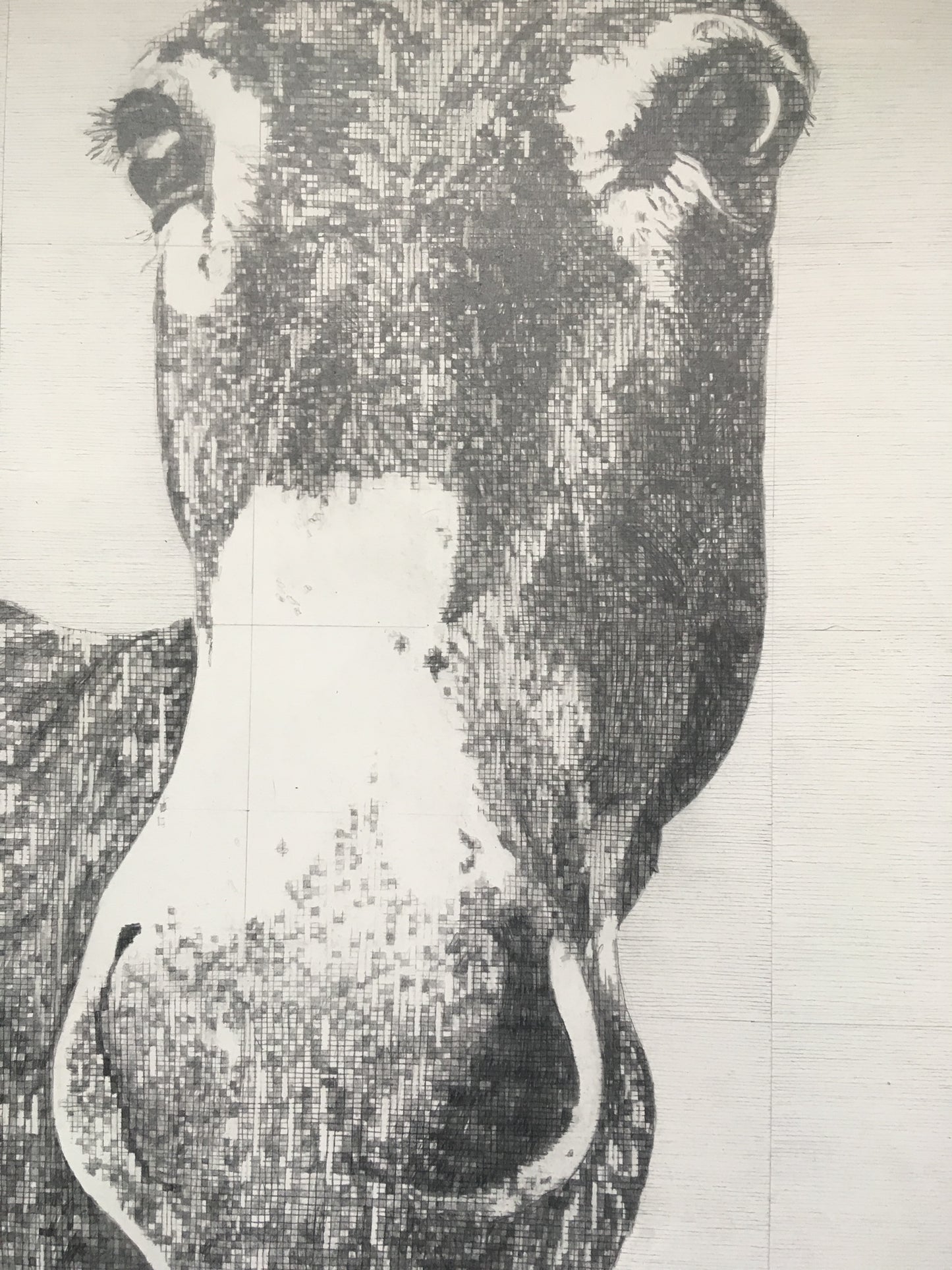 Elizabeth Original Conservation Framed Drawing