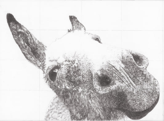 Dolly Original Conservation Framed Drawing