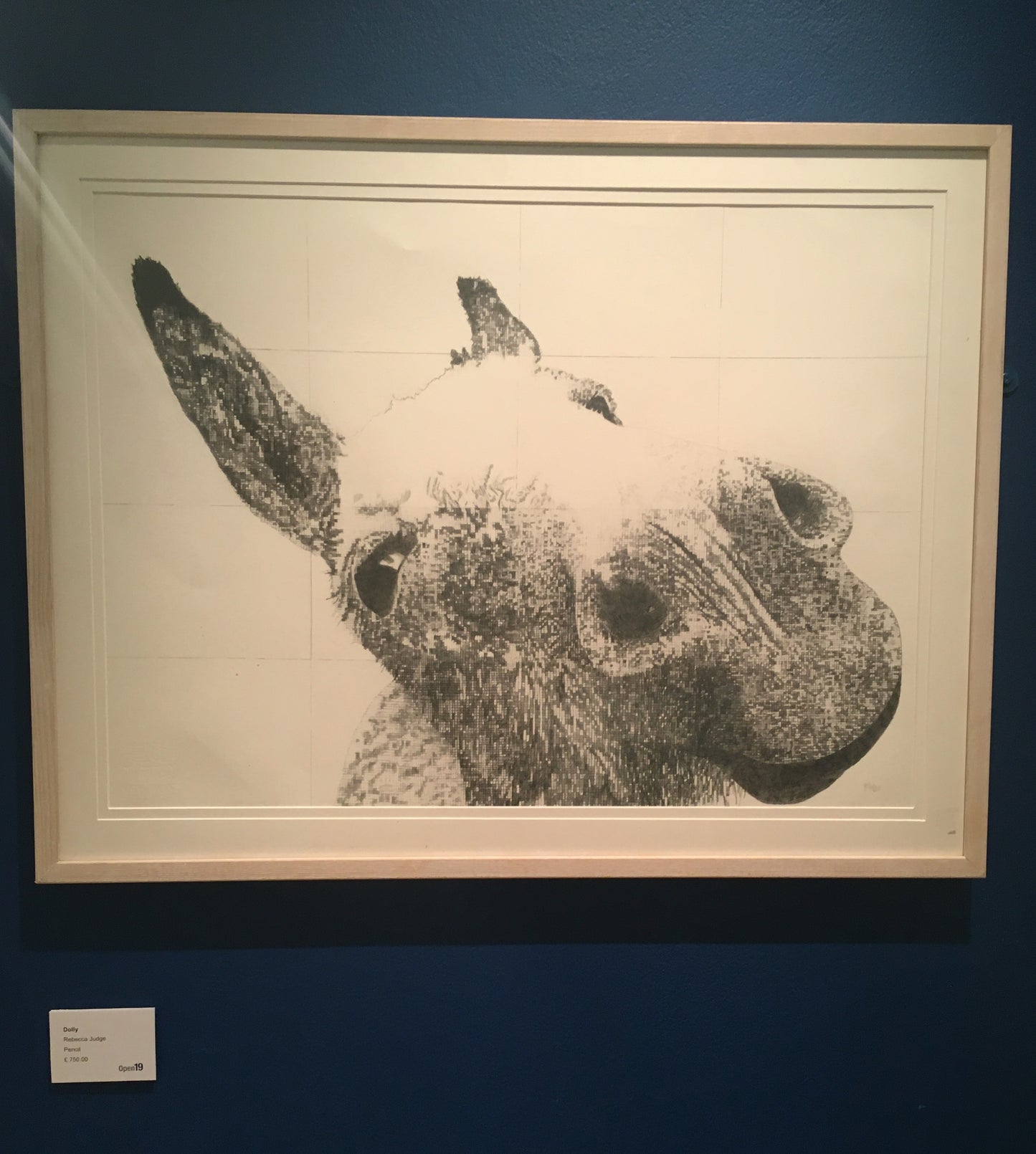 Dolly Original Conservation Framed Drawing