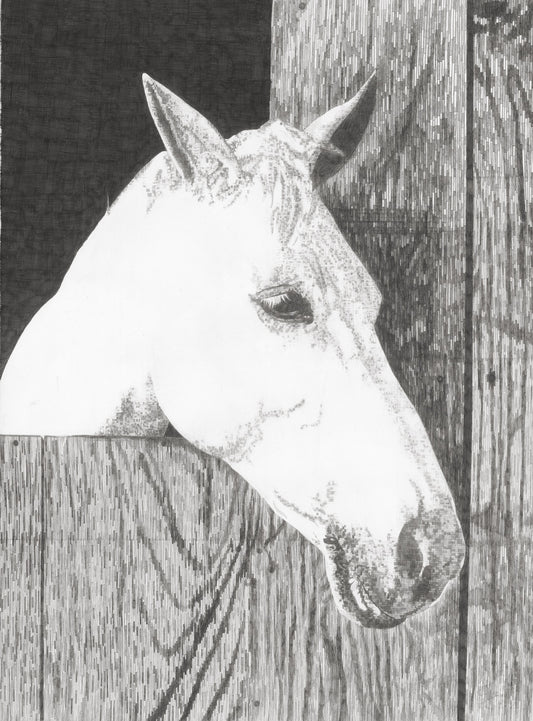 James Original Conservation Framed Drawing