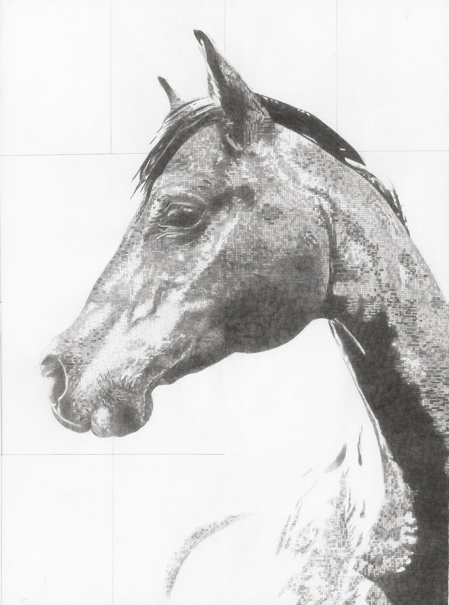 Sebastian Original Conservation Framed Drawing